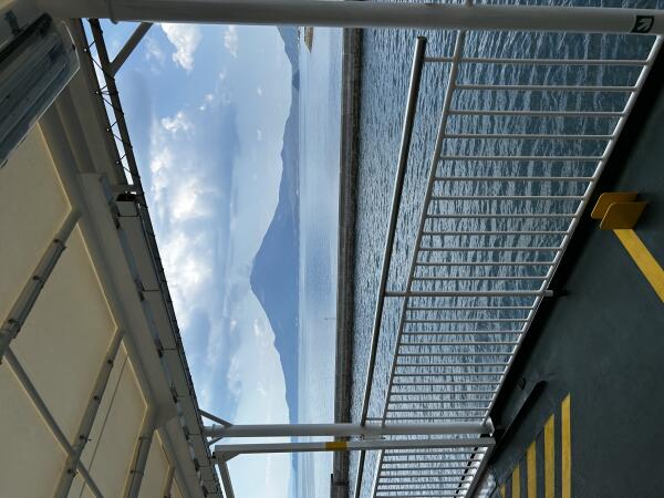 IMG_7812.jpeg