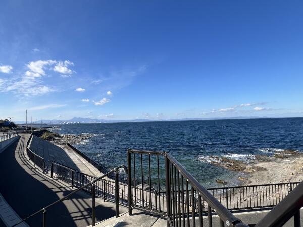 IMG_4695.jpeg