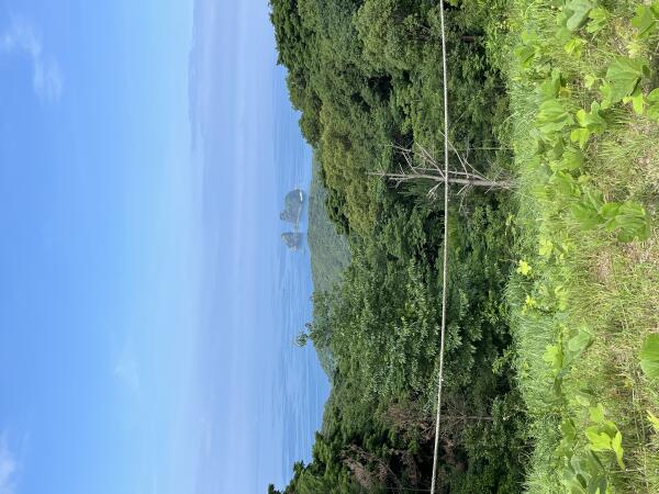 IMG_5900.jpeg
