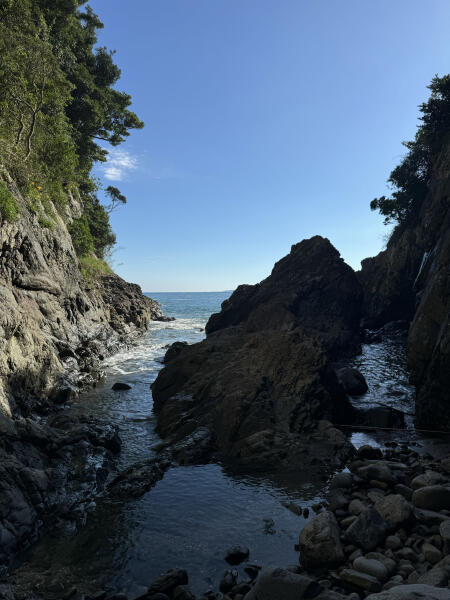 IMG_0127.jpeg
