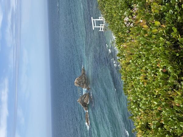 IMG_3808.jpeg